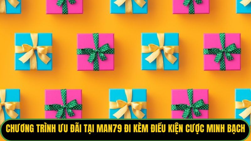 Điều Khoản Điều Kiện Man79: Quy Định Chung Cho Người Chơi - THUNDER68