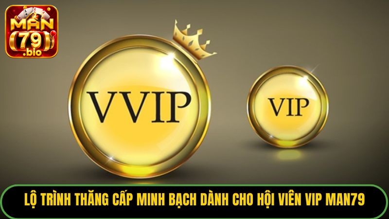 Hội Viên VIP Man79: Đẳng Cấp Giải Trí, Đặc Quyền Tối Thượng - THUNDER68 Hội Viên VIP Man79: Đẳng Cấp Giải Trí, Đặc Quyền Tối Thượng - THUNDER68