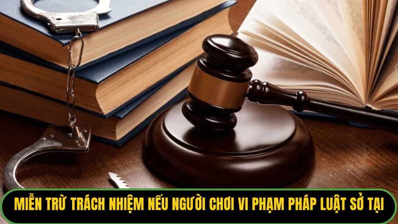 Miễn Trừ Trách Nhiệm Man79 – Quy Định Và Giới Hạn Pháp Lý - THUNDER68